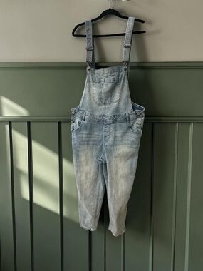 Wallflower Denim Overalls. Stretchy. Light Wash. size: 1X